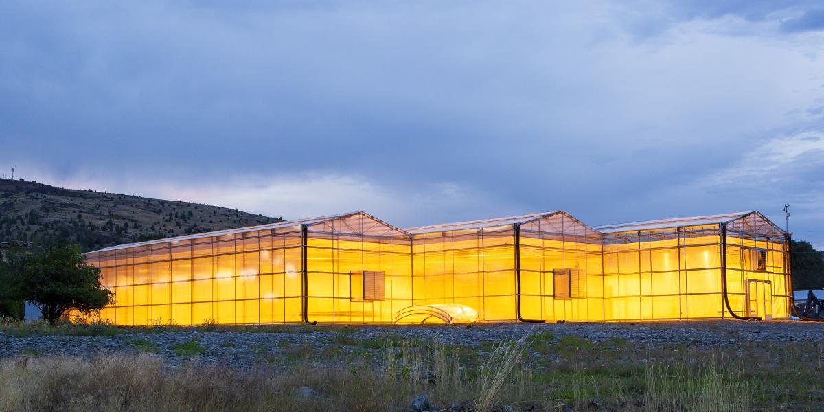Production Runs at the Greenhouse at Oregon Pine are Underway City of